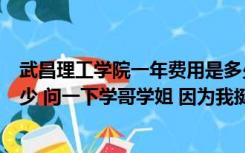 武昌理工学院一年费用是多少（武昌理工学院学费是一年多少 问一下学哥学姐 因为我挺喜欢这）