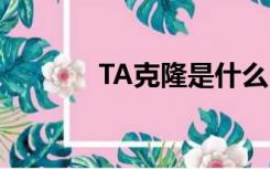 TA克隆是什么（ta克隆原理）