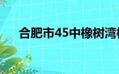 合肥市45中橡树湾校区（合肥市45中）