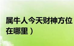 属牛人今天财神方位（属牛人今年的财神方位在哪里）