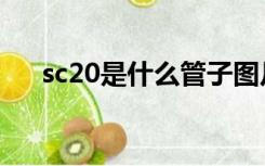 sc20是什么管子图片（sc20是什么管）