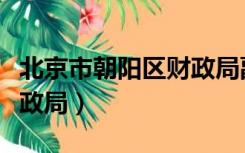 北京市朝阳区财政局副局长（北京市朝阳区财政局）