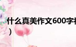 什么真美作文600字初中作文（什么真美作文）