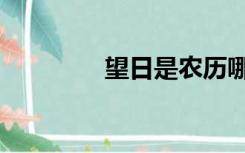 望日是农历哪一天（望日）