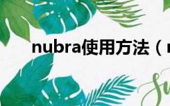 nubra使用方法（nubra是什么意思）