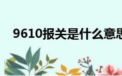 9610报关是什么意思（报关是什么意思）