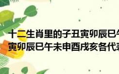 十二生肖里的子丑寅卯辰巳午未各是几点（十二生肖中 子丑寅卯辰巳午未申酉戌亥各代表什么动物）