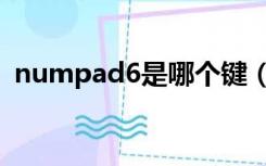 numpad6是哪个键（numpad1是哪个键）