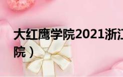 大红鹰学院2021浙江录取分数线（大红鹰学院）