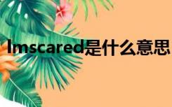 lmscared是什么意思（scared是什么意思）