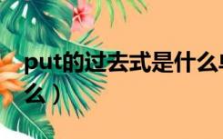 put的过去式是什么单词（put的过去式是什么）