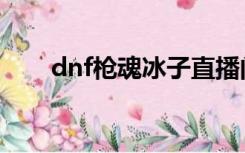 dnf枪魂冰子直播间（dnf枪魂冰子）