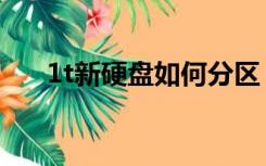 1t新硬盘如何分区（新硬盘如何分区）