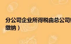 分公司企业所得税由总公司缴纳吗（分公司企业所得税如何缴纳）