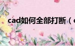 cad如何全部打断（cad中的打断怎么用）