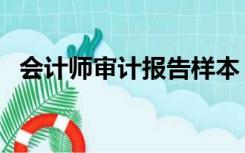 会计师审计报告样本（财务审计报告样本）