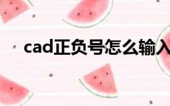 cad正负号怎么输入（正负号怎么输入）