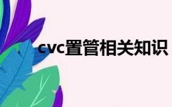 cvc置管相关知识（什么是cvc置管）