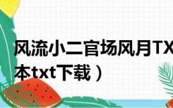 风流小二官场风月TXT（官场风月风流小二全本txt下载）