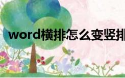 word横排怎么变竖排（word竖排变横排）