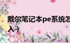 戴尔笔记本pe系统怎么进入（pe系统怎么进入）