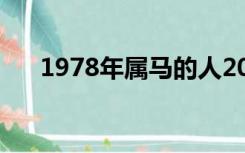 1978年属马的人2018年财运运程如何