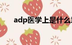 adp医学上是什么意思（adp是什么）