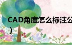 CAD角度怎么标注公差?（cad角度怎么标注）