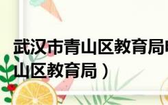 武汉市青山区教育局电话是多少号（武汉市青山区教育局）