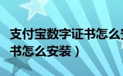 支付宝数字证书怎么安装电脑（支付宝数字证书怎么安装）