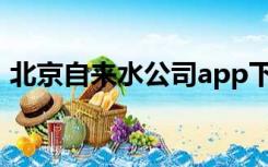 北京自来水公司app下载（北京自来水公司）