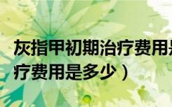 灰指甲初期治疗费用是多少钱（灰指甲初期治疗费用是多少）