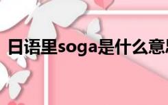 日语里soga是什么意思（soga是什么意思）