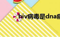 hiv病毒是dna病毒还是rna病毒