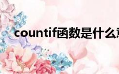 countif函数是什么意思,通俗易懂的介绍