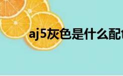 aj5灰色是什么配色（aj5所有配色）