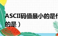 ASCII码值最小的是什么字符（ascii码值最小的是）