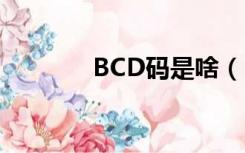 BCD码是啥（bcd码是什么）