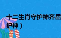 十二生肖守护神齐岳的6个老婆（齐岳生肖守护神）