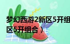 梦幻西游2新区5开组合怎么样（梦幻西游2新区5开组合）