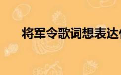 将军令歌词想表达什么（将军令歌词）