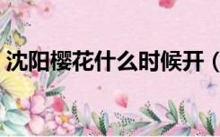 沈阳樱花什么时候开（邵阳樱花什么时候开）