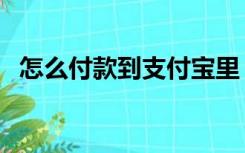 怎么付款到支付宝里（怎么付款到支付宝）