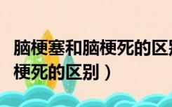 脑梗塞和脑梗死的区别哪个严重（脑梗塞和脑梗死的区别）