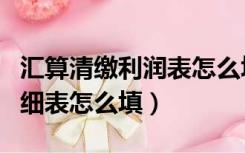 汇算清缴利润表怎么填（汇算清缴弥补亏损明细表怎么填）