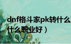 dnf格斗家pk转什么职业好（dnf男格斗家转什么职业好）