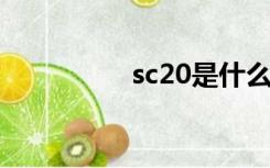 sc20是什么意思（sc2）