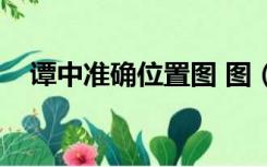 谭中准确位置图 图（谭中穴在什么位置）