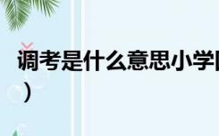 调考是什么意思小学四年级（调考是什么意思）