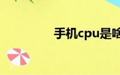 手机cpu是啥（cpu是啥）